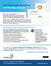 IntelliCredit Portfolio Analyzer