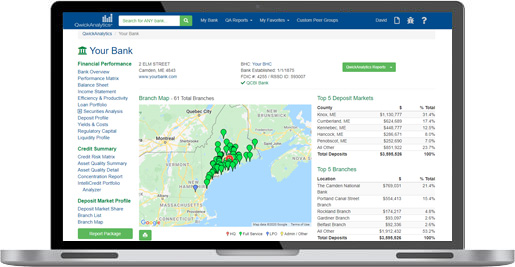 QwickAnalytics Interactive Bank Research